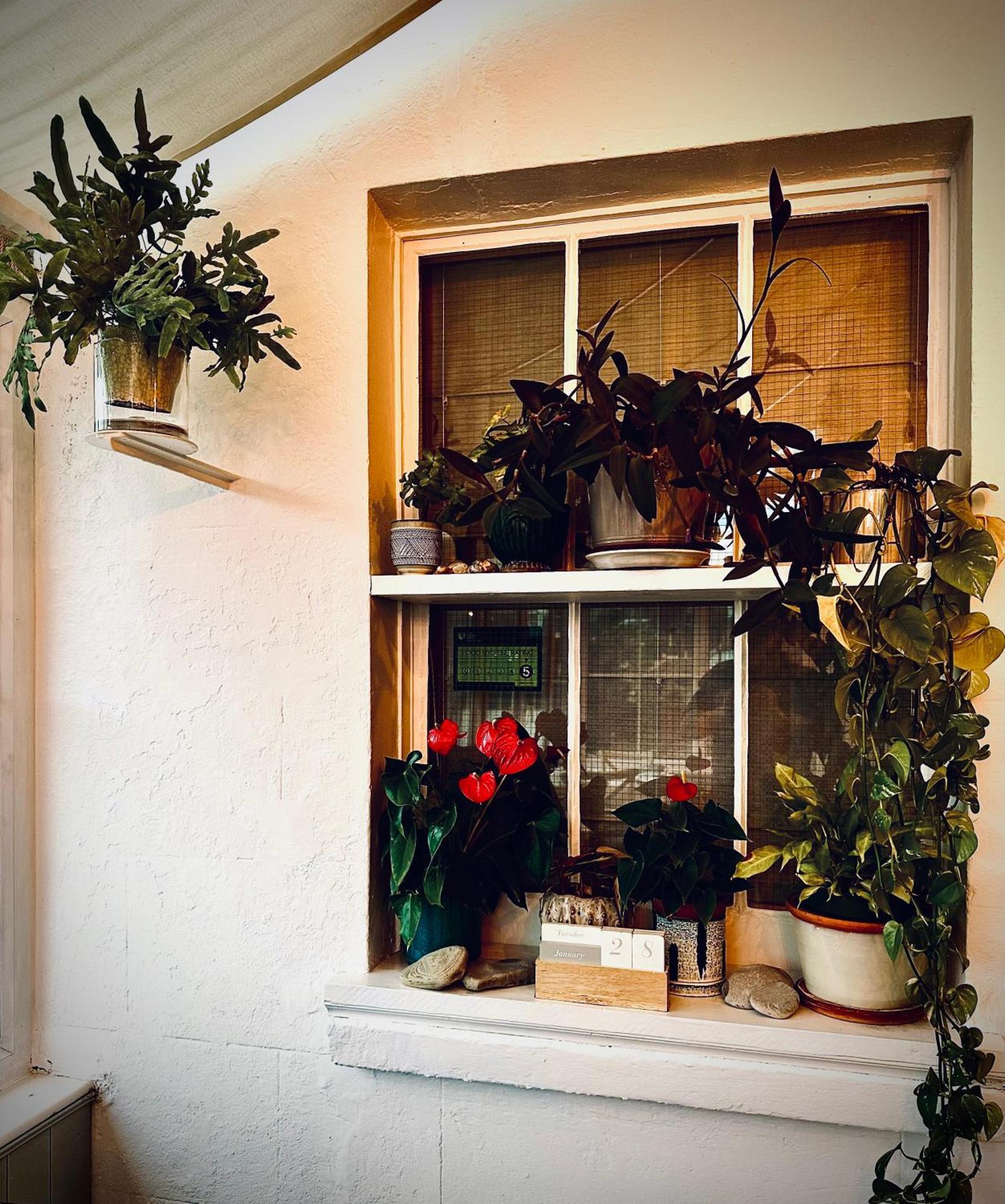 The Laindons Bed & Breakfast Hastings Bagian luar foto